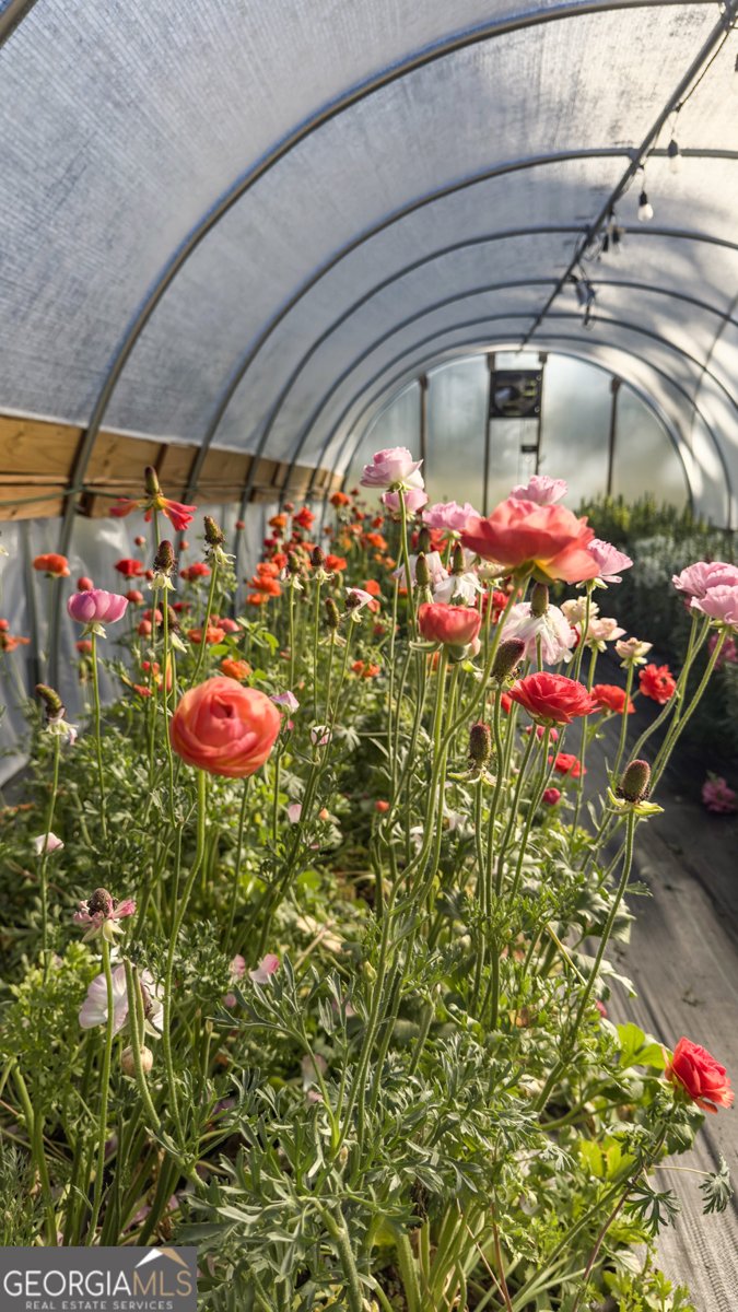 1580 Farmington Road Madison - Photo 42