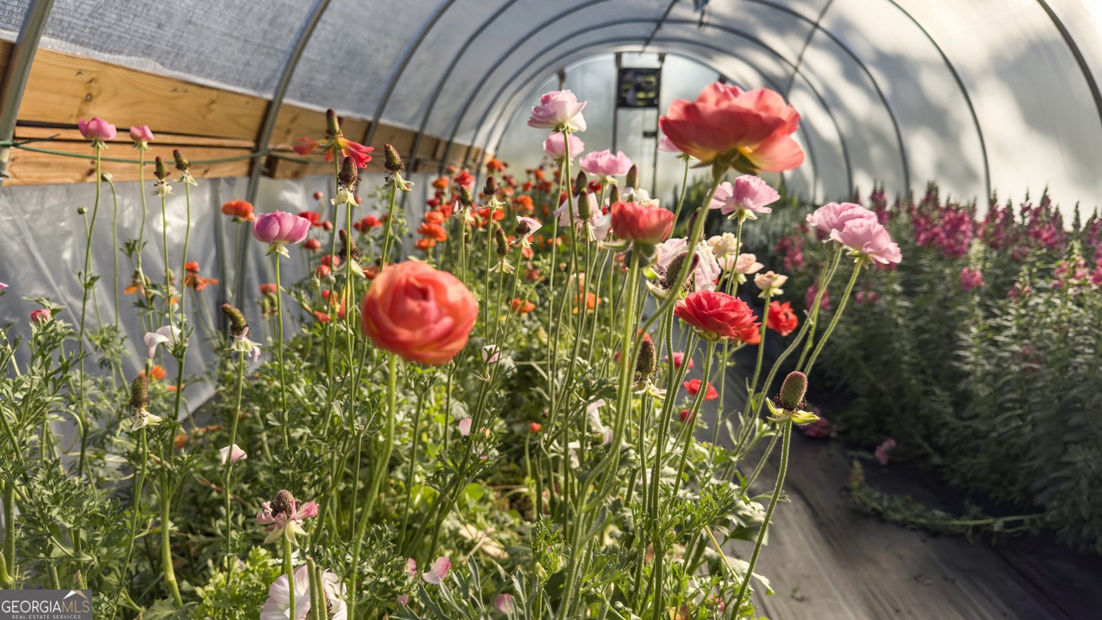 1580 Farmington Road Madison - Photo 43