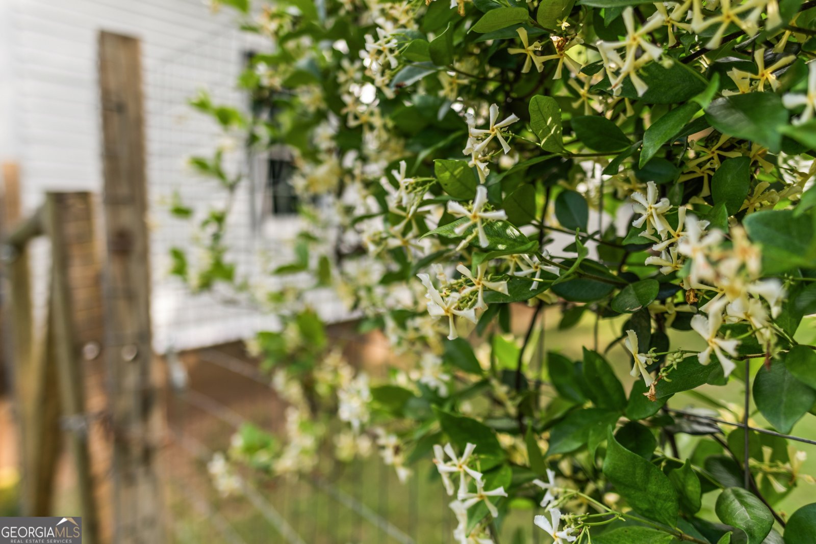 1580 Farmington Road Madison - Photo 50