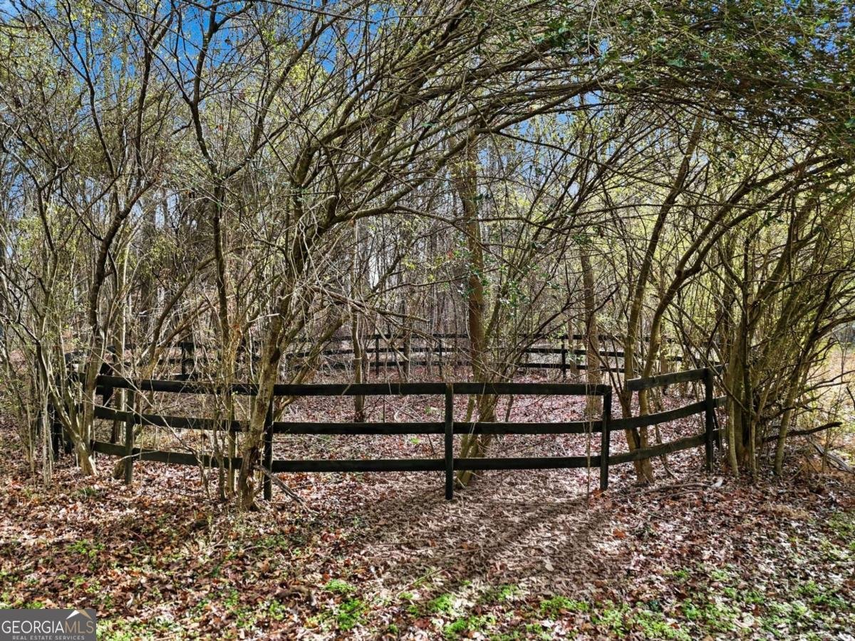 11005 Freehome Highway Canton - Photo 9