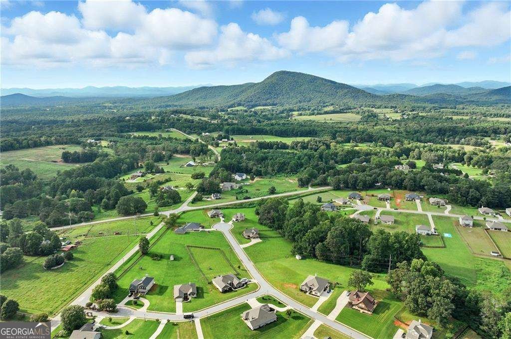 5911 Bent Tree Way Clermont - Photo 25