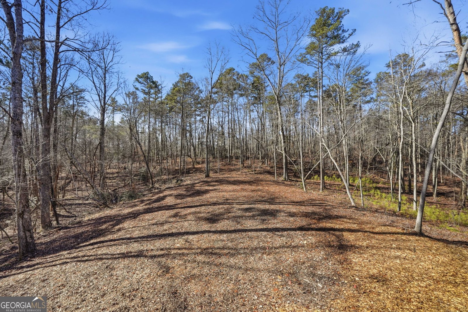 835 Hilton Drive Ellijay - Photo 39