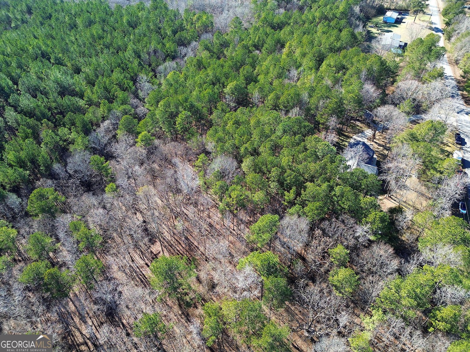 45 Gordon Road Taylorsville - Photo 13