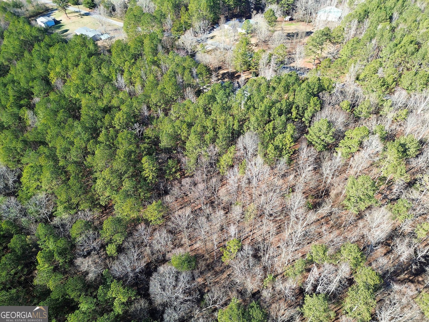 45 Gordon Road Taylorsville - Photo 14