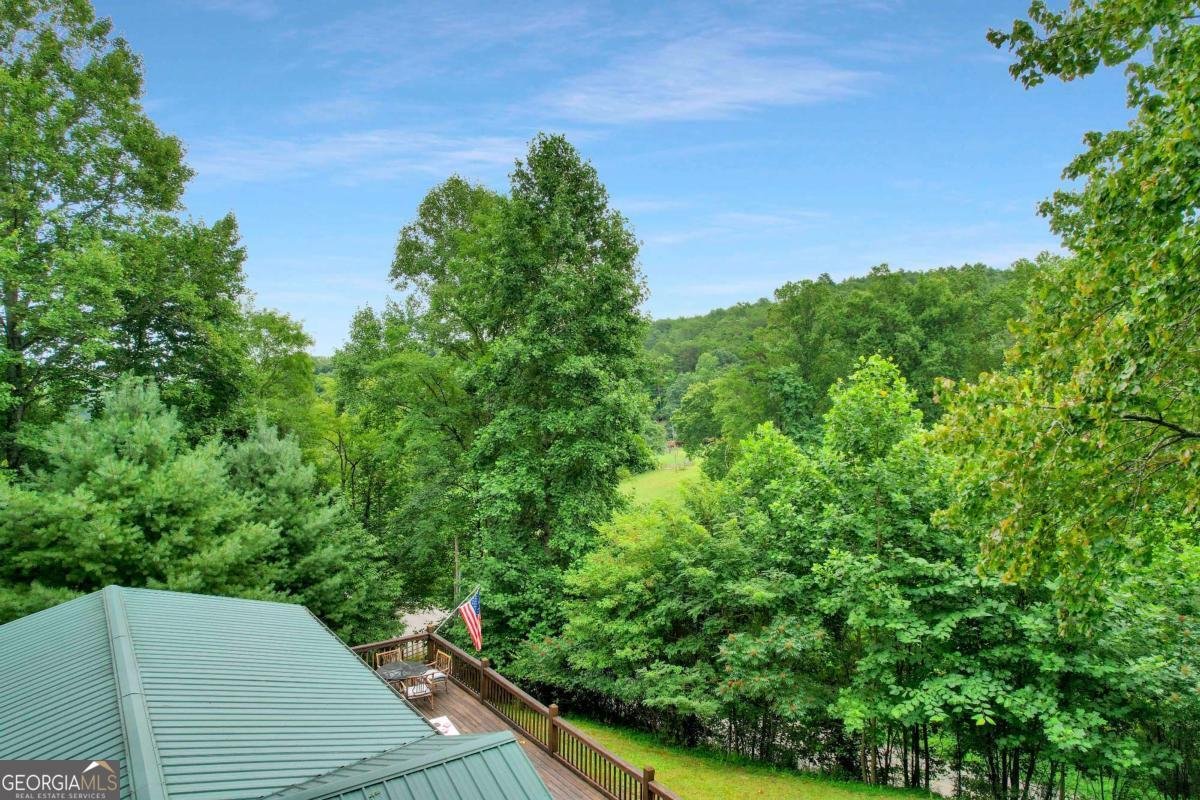 1390 Snake Nation Road Blue Ridge - Photo 33