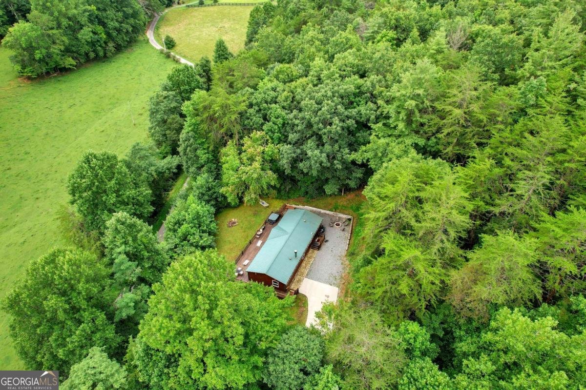 1390 Snake Nation Road Blue Ridge - Photo 40