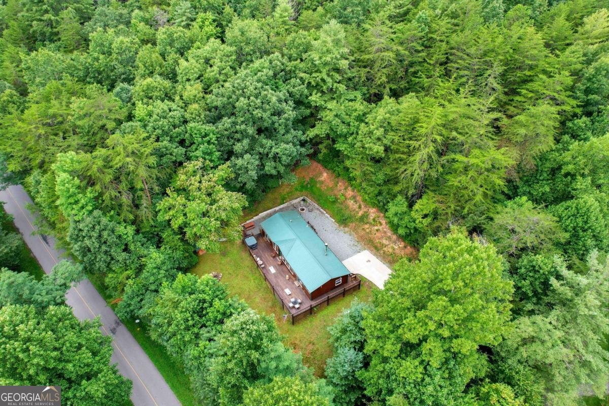 1390 Snake Nation Road Blue Ridge - Photo 41