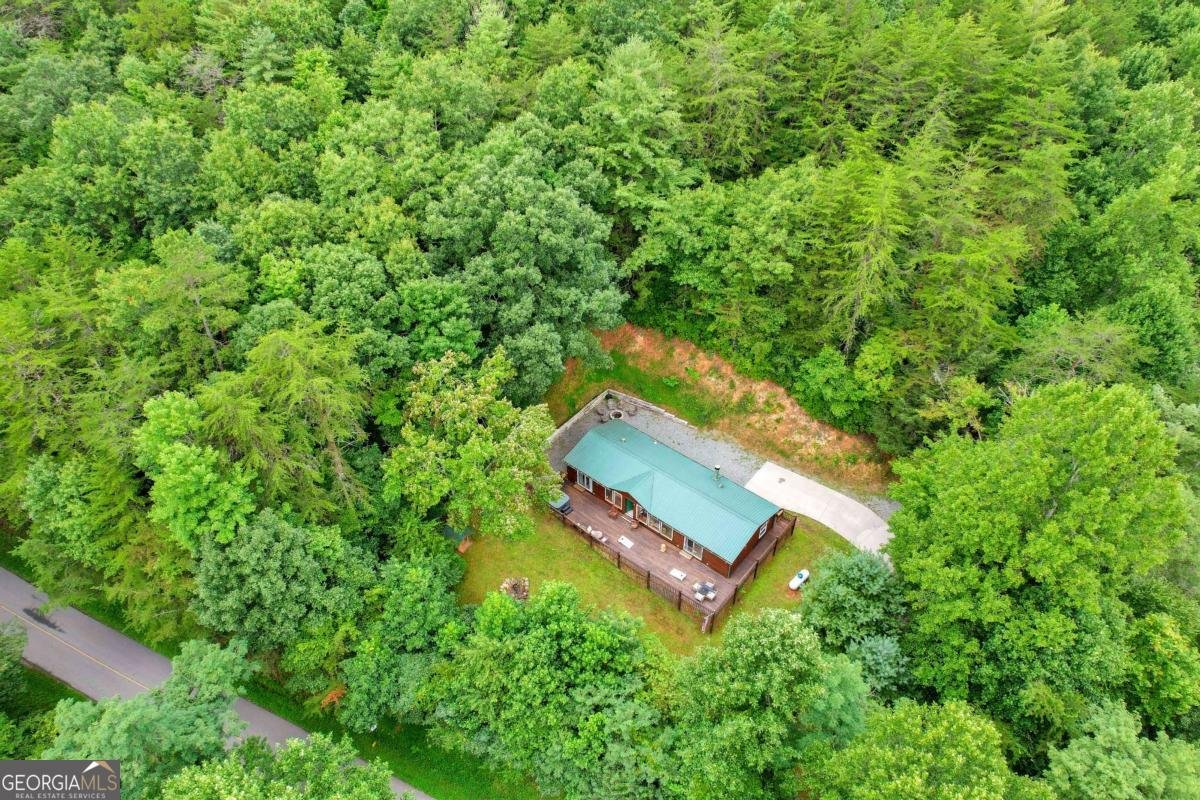 1390 Snake Nation Road Blue Ridge - Photo 42