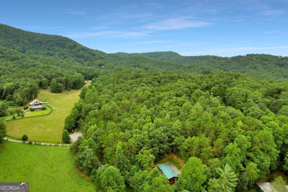 1390 Snake Nation Road Blue Ridge - Photo 46