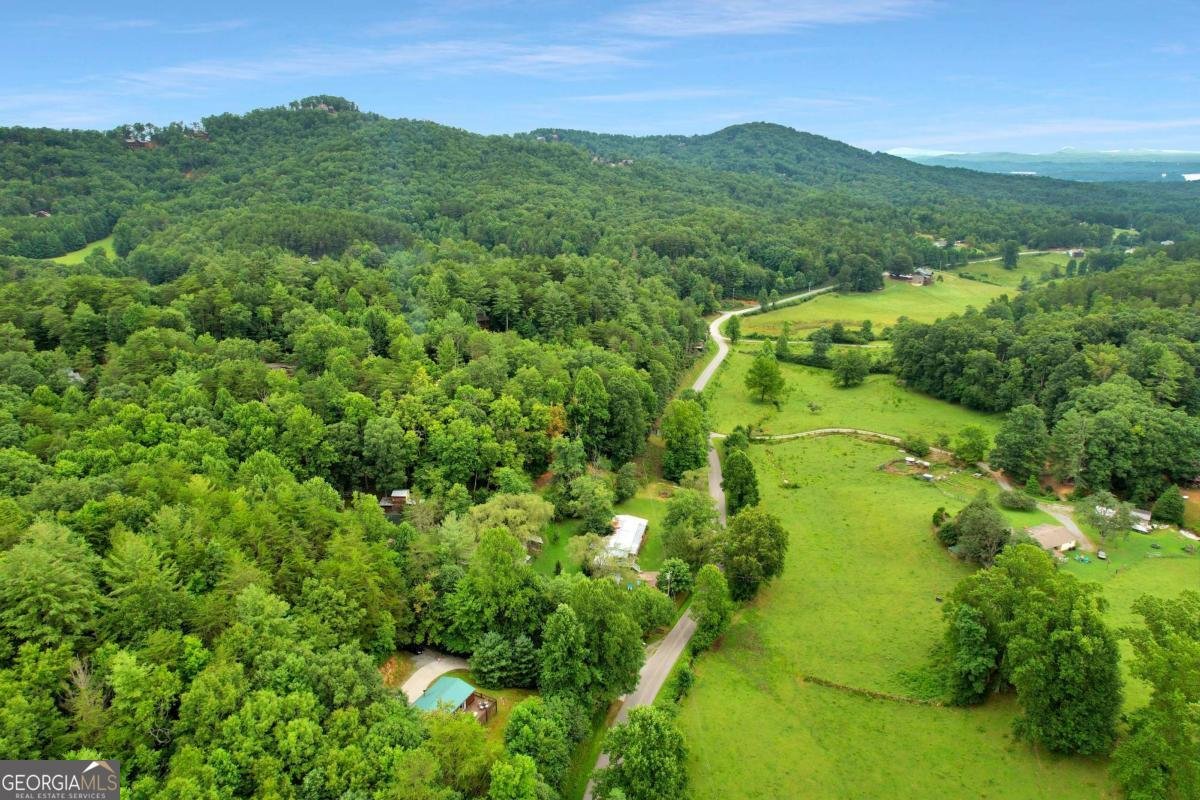 1390 Snake Nation Road Blue Ridge - Photo 48