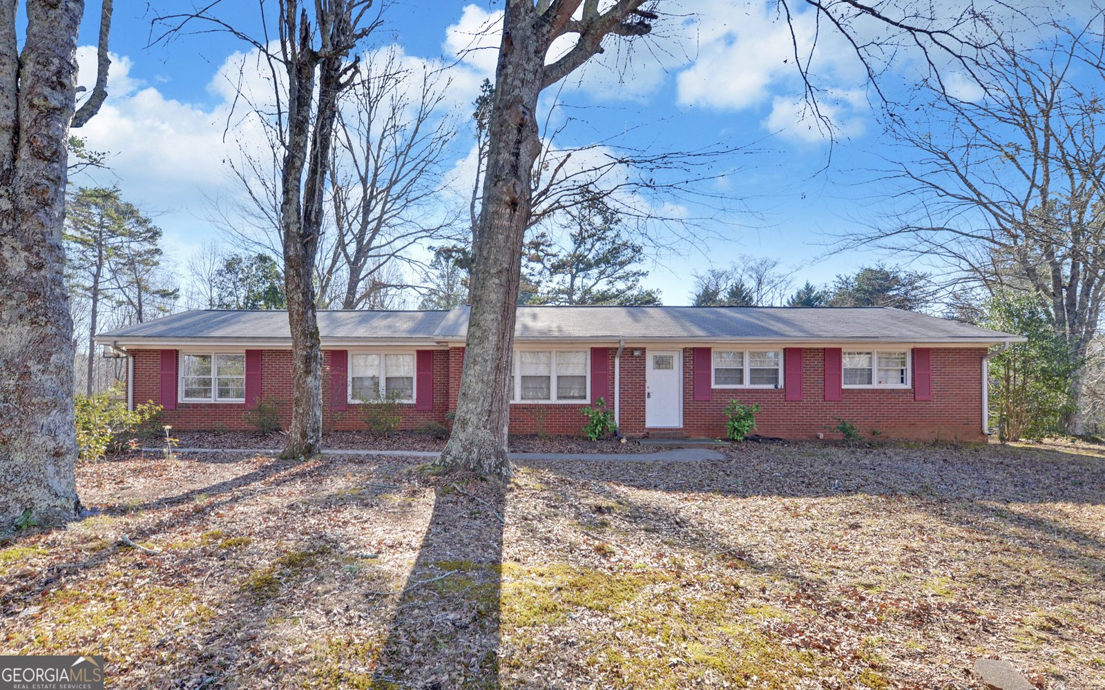 3904 Antioch Church Road Toccoa - Photo 1