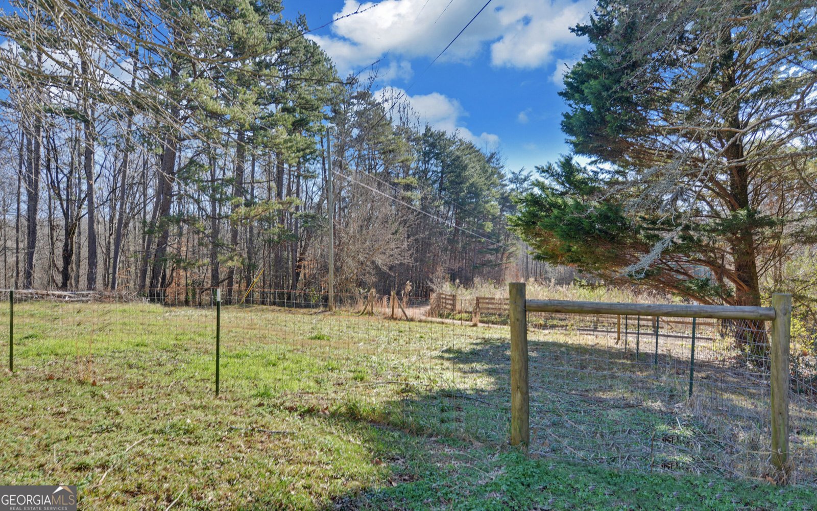 3904 Antioch Church Road Toccoa - Photo 34
