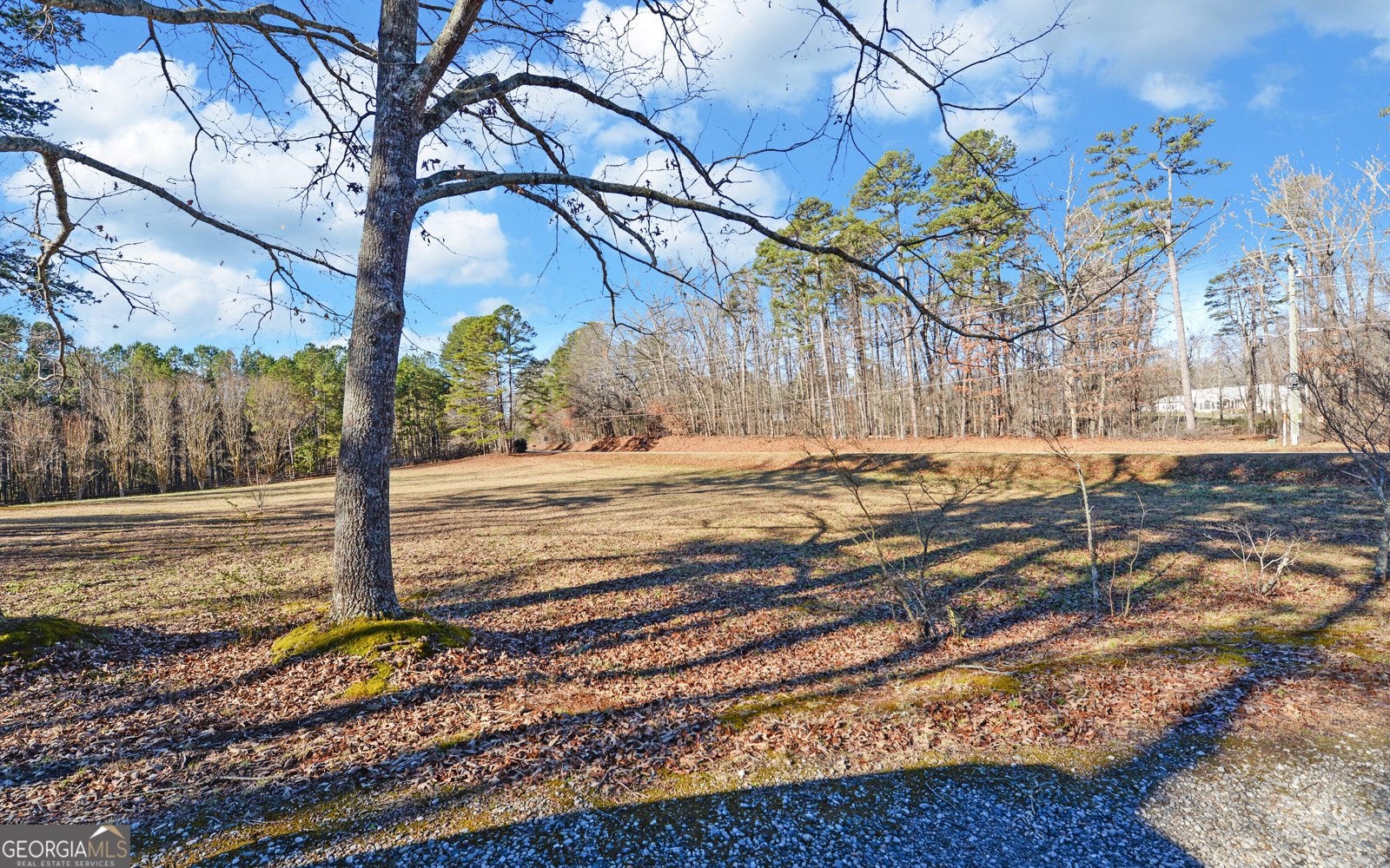 3904 Antioch Church Road Toccoa - Photo 38