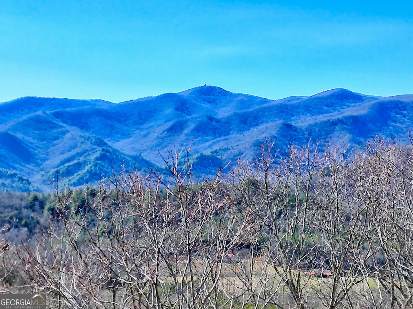 438 Mill Ridge Road Hiawassee - Photo 64