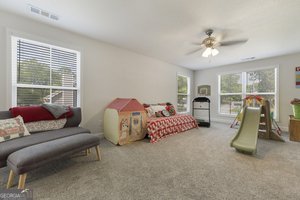 227 Martin Luther King Jr Drive Winder - Photo 42