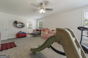 227 Martin Luther King Jr Drive Winder - Photo 43