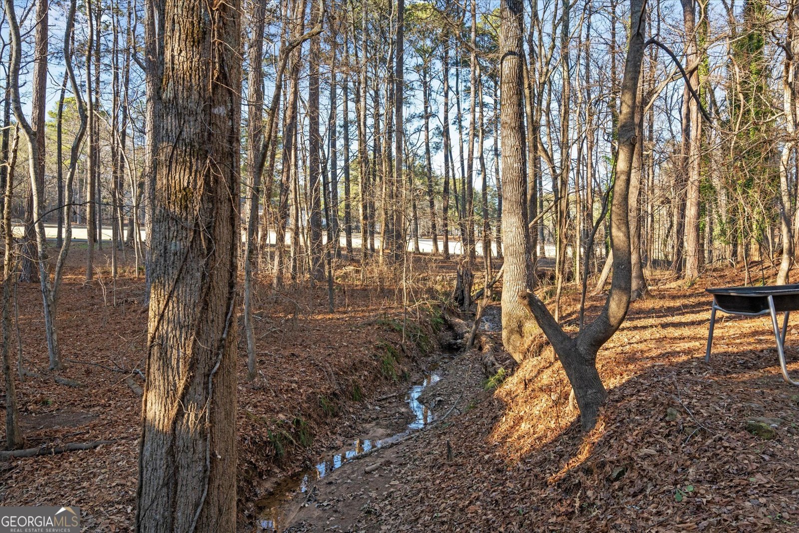 4051 Golfview Court Villa Rica - Photo 49