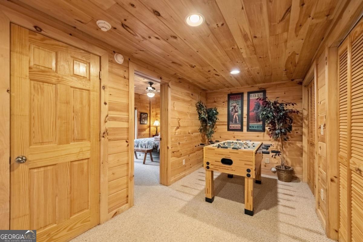 469 Mountain High Drive Mineral Bluff - Photo 31