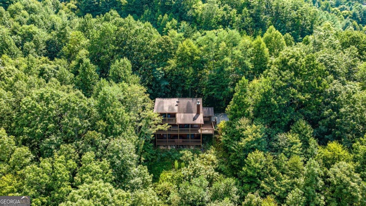 469 Mountain High Drive Mineral Bluff - Photo 50