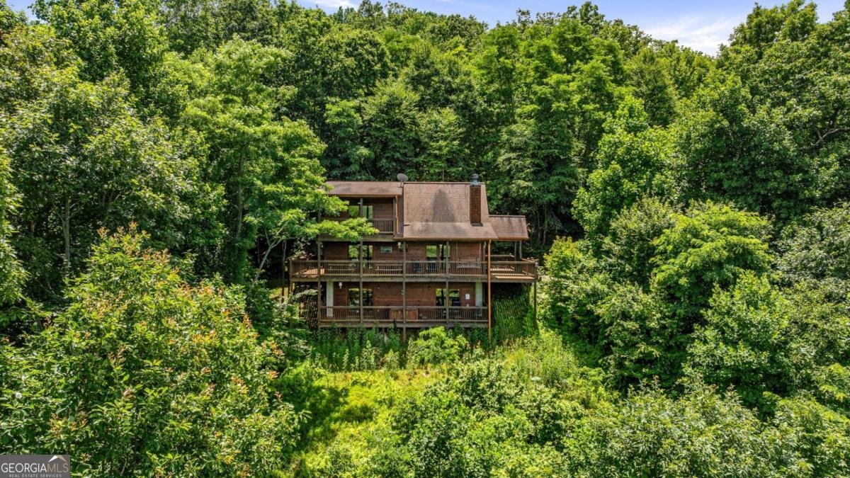 469 Mountain High Drive Mineral Bluff - Photo 67