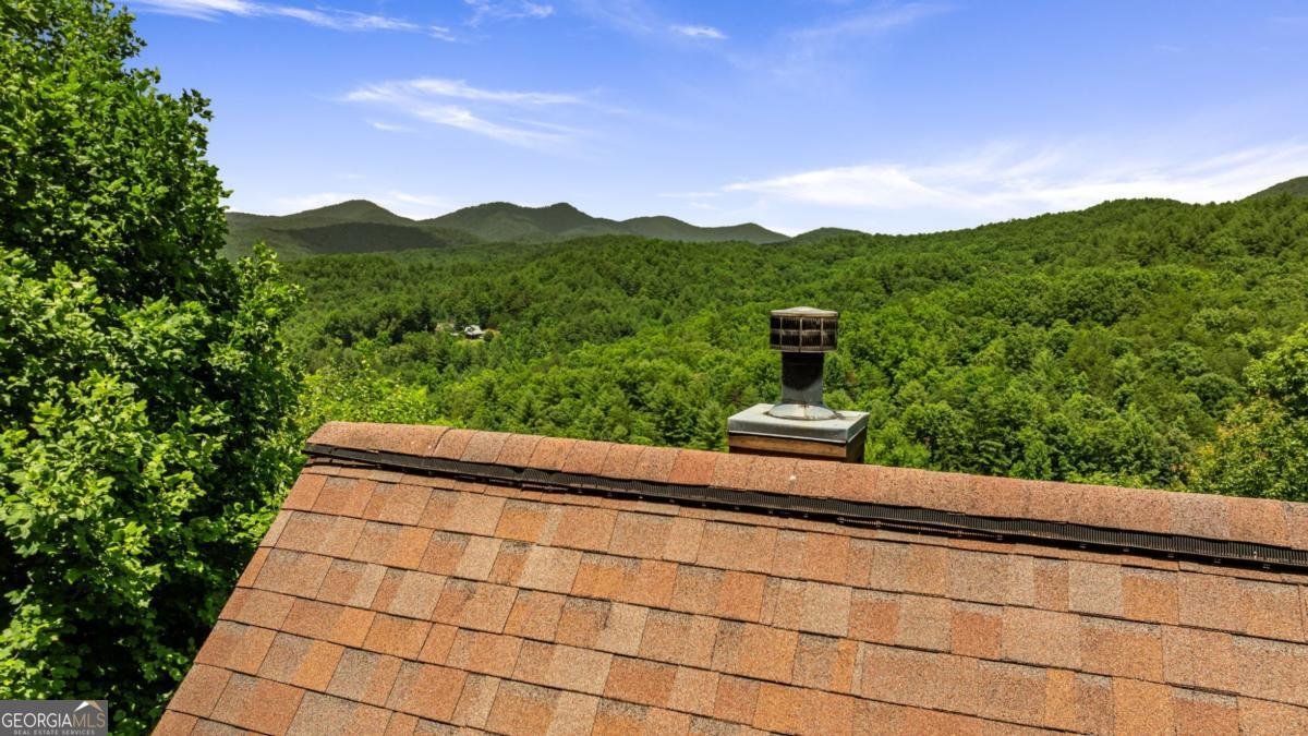 469 Mountain High Drive Mineral Bluff - Photo 69