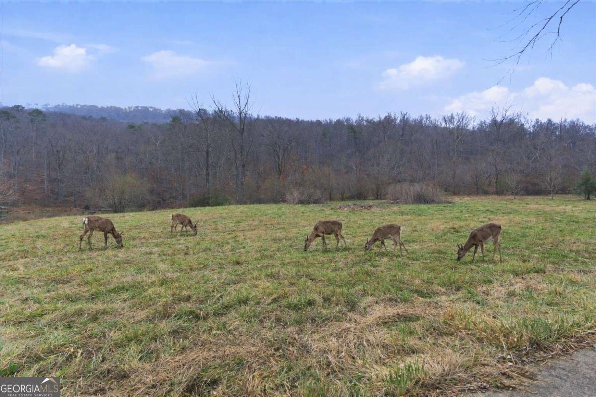 1478 Shinbone Valley Rd Lafayette - Photo 12