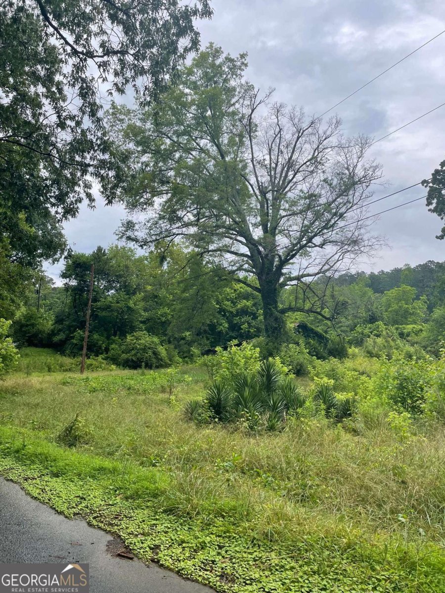 102 Park Road Rome - Photo 6