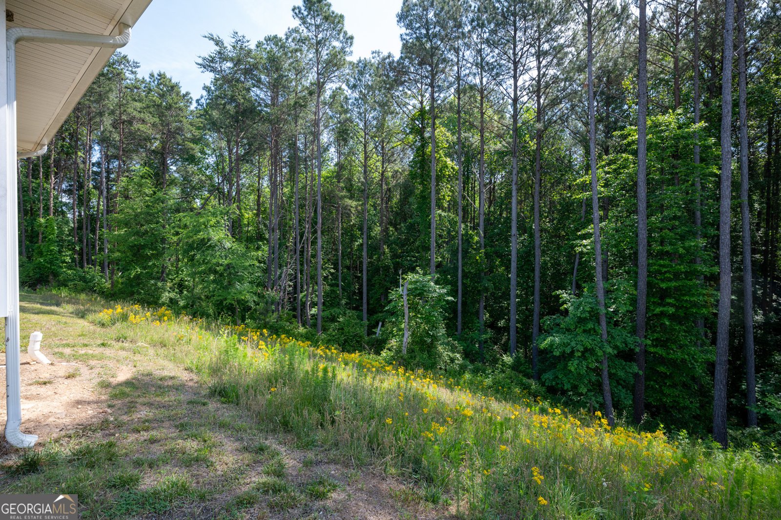 191 Hightower Loop Road Ranger - Photo 33