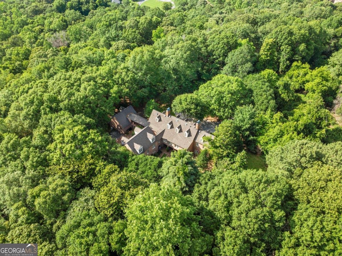 4814 Amal Lane Gainesville - Photo 63