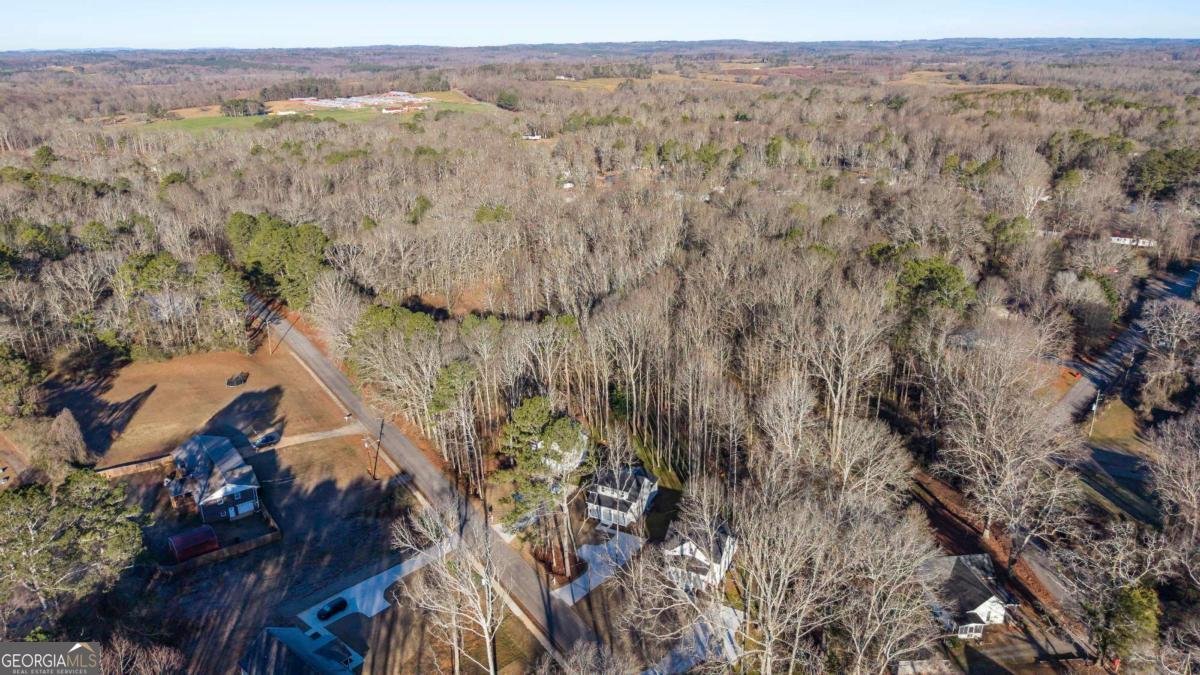 479 West Avenue Bowdon - Photo 42