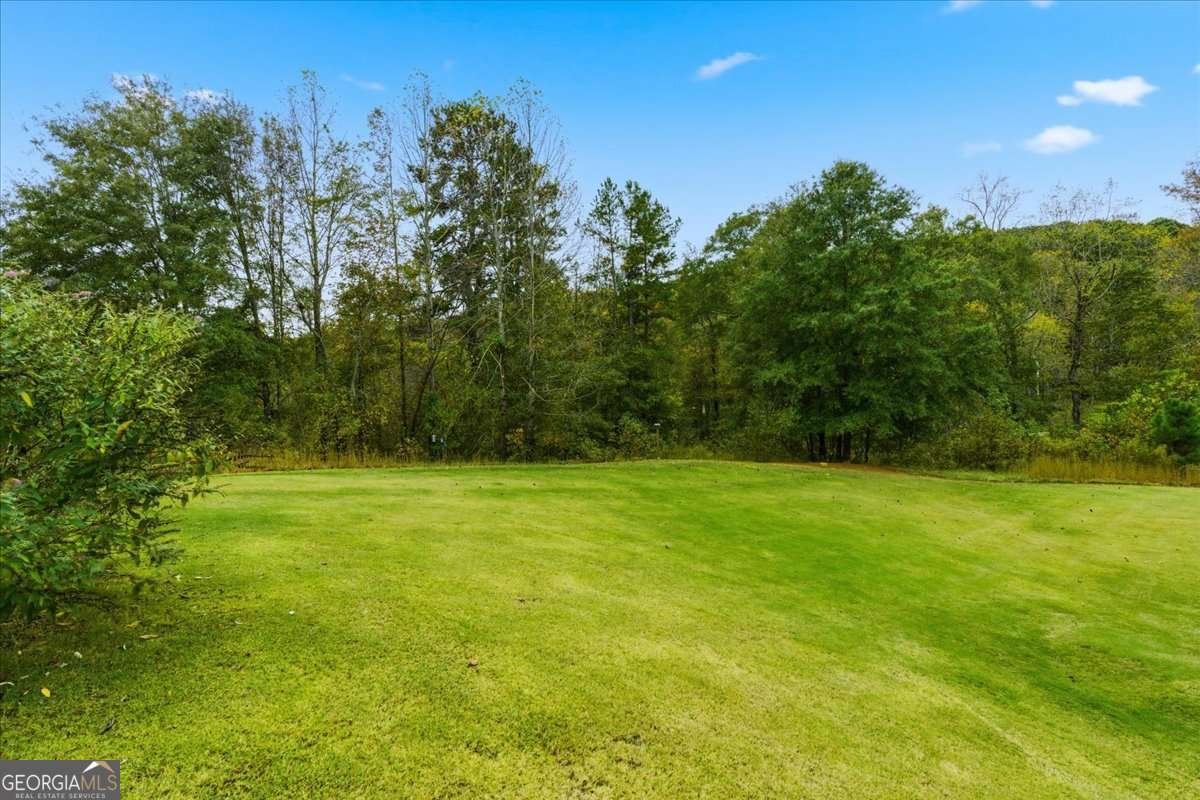 7119 Branch Creek Cove Flowery Branch - Photo 57