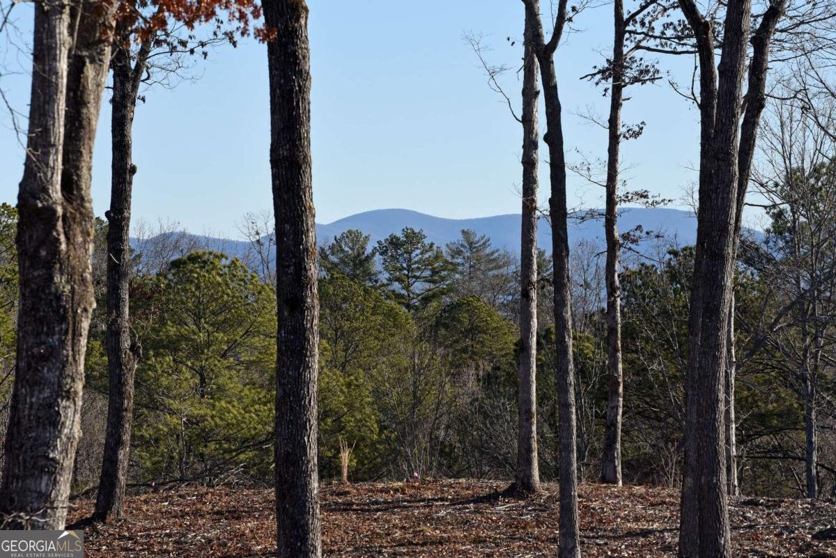 170 Oak Wood Lane Ellijay - Photo 11