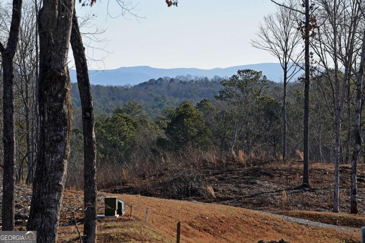 170 Oak Wood Lane Ellijay - Photo 19