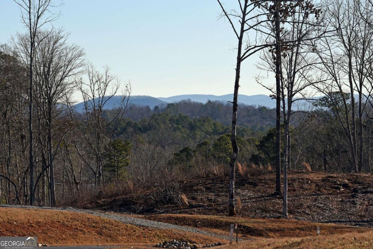 170 Oak Wood Lane Ellijay - Photo 32