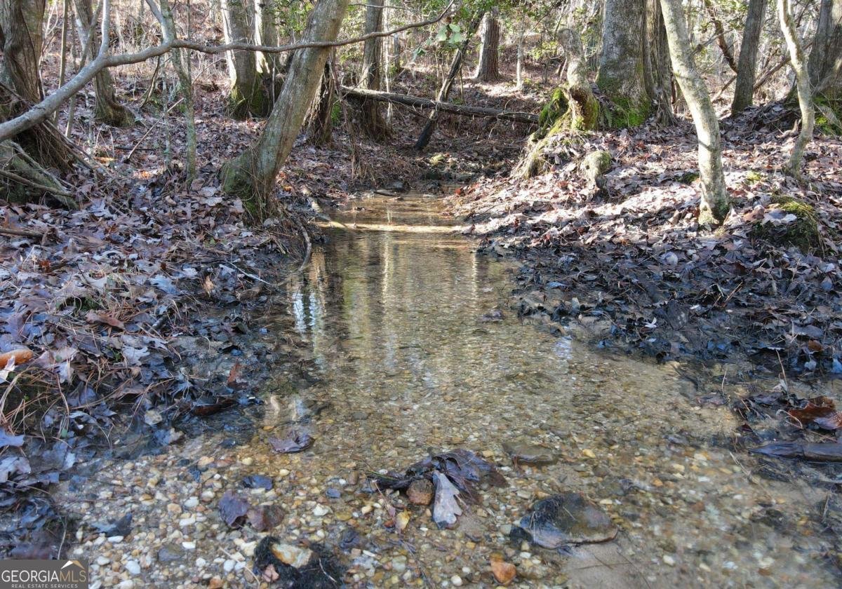 170 Oak Wood Lane Ellijay - Photo 38