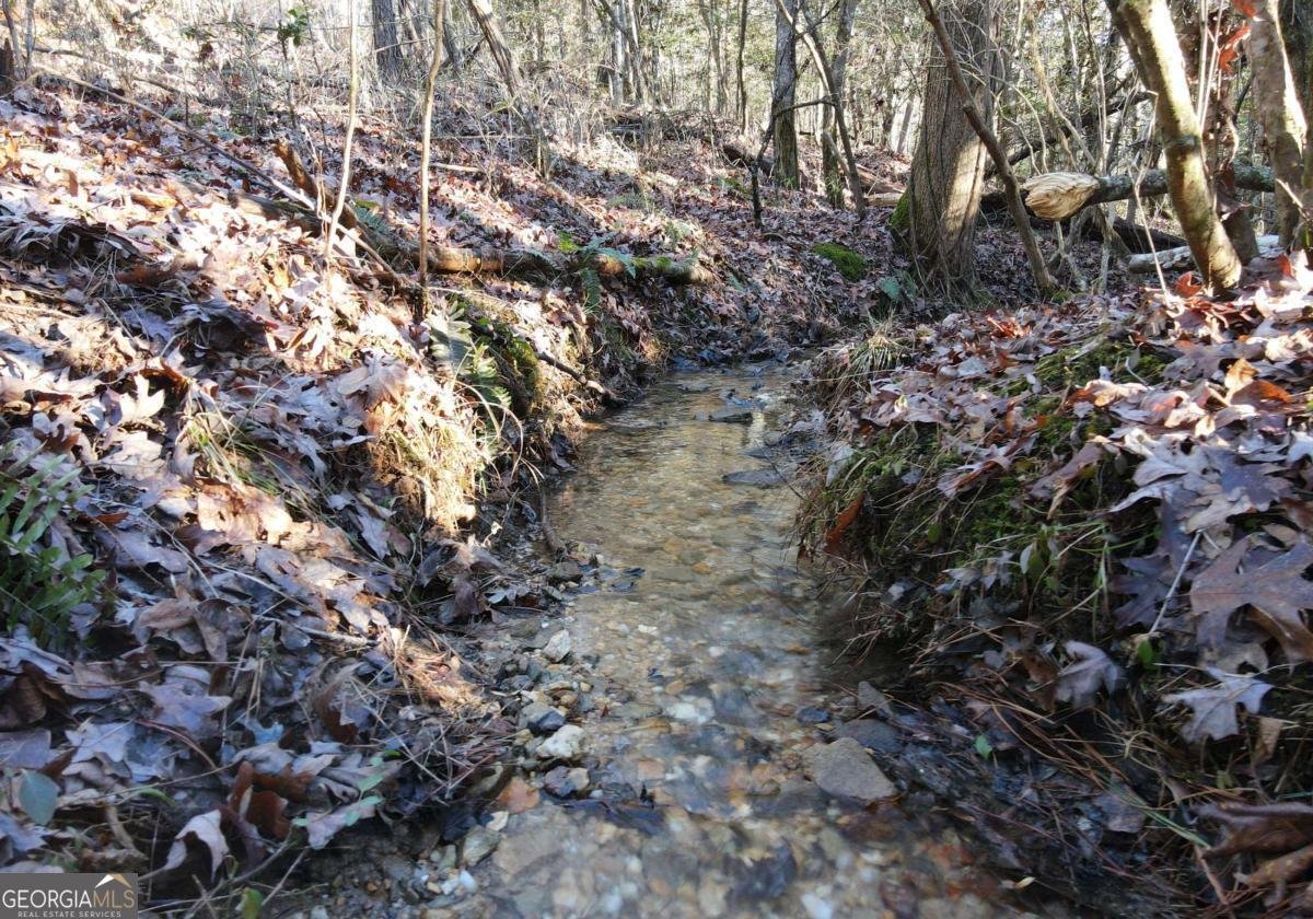 170 Oak Wood Lane Ellijay - Photo 40