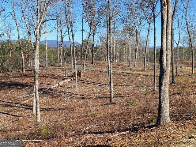 170 Oak Wood Lane Ellijay - Photo 52