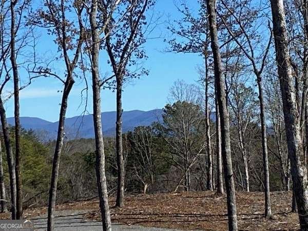 170 Oak Wood Lane Ellijay - Photo 54