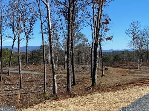 170 Oak Wood Lane Ellijay - Photo 69