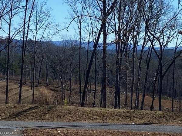 170 Oak Wood Lane Ellijay - Photo 70