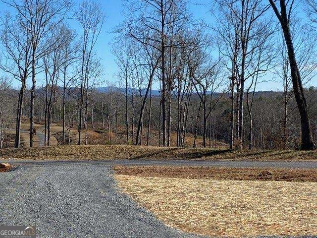 170 Oak Wood Lane Ellijay - Photo 72