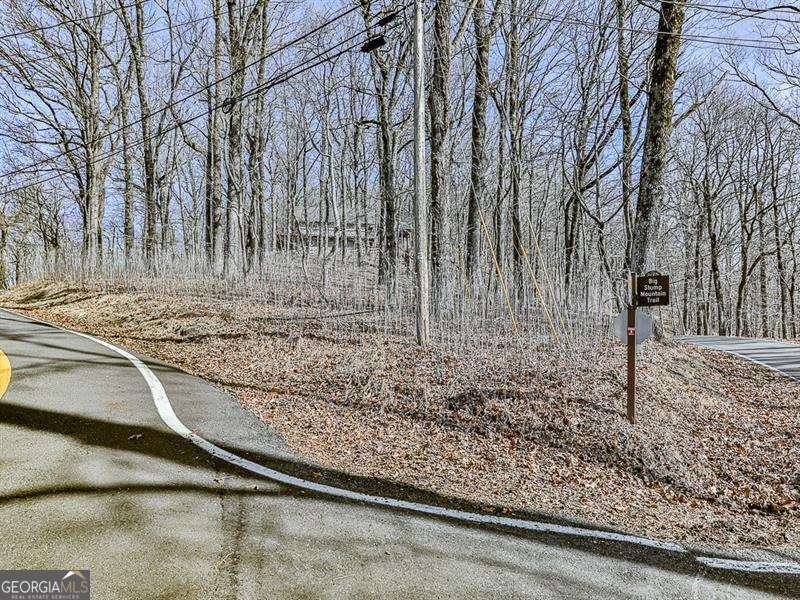 128 Big Stump Mountain Trail Jasper - Photo 42