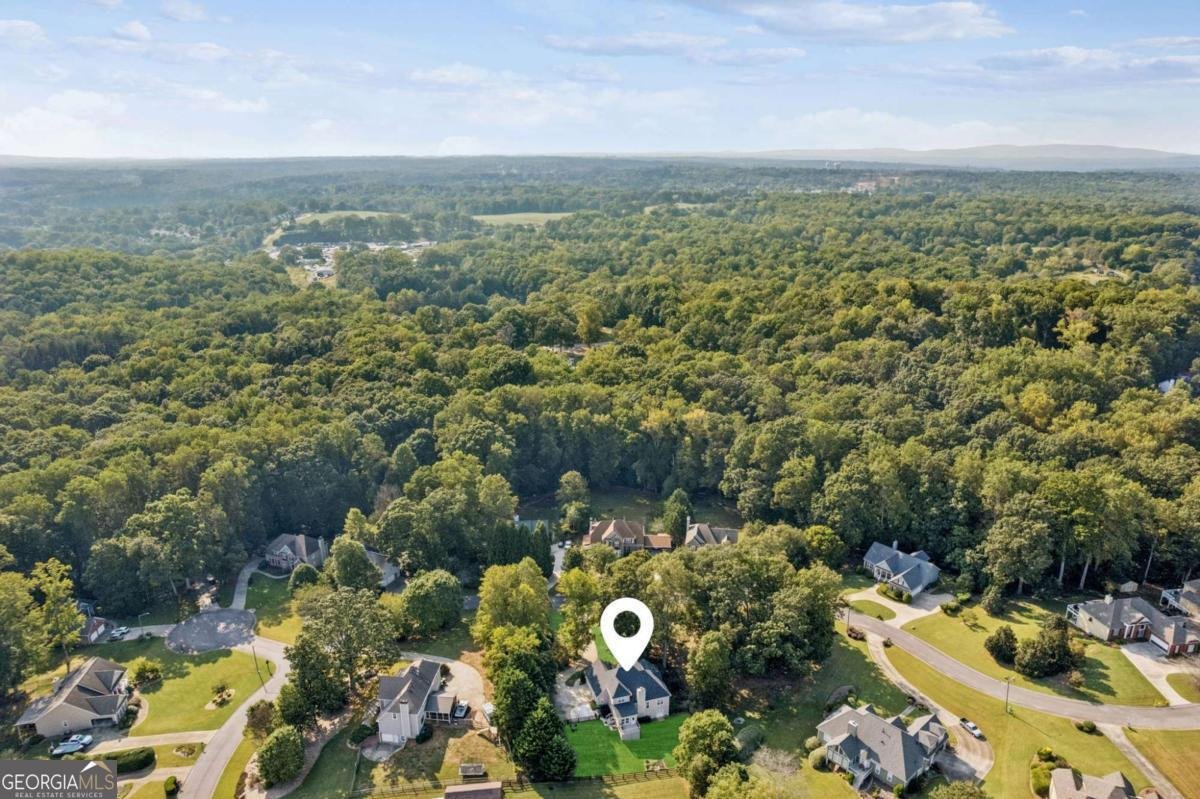 254 Lingefelt Lane Canton - Photo 47