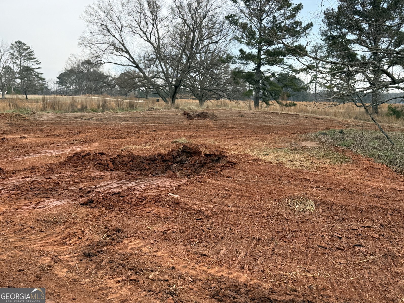 LOT 32 Millie Trail Williamson - Photo 71