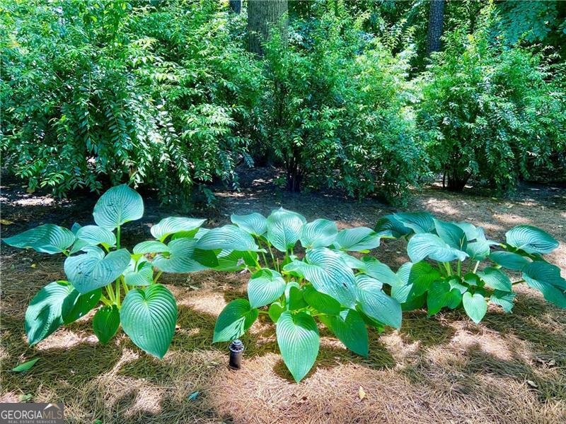 1679 Kellogg Springs Drive Atlanta - Photo 21