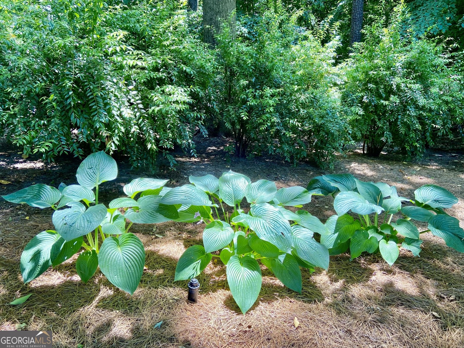 1679 Kellogg Springs Drive Atlanta - Photo 7