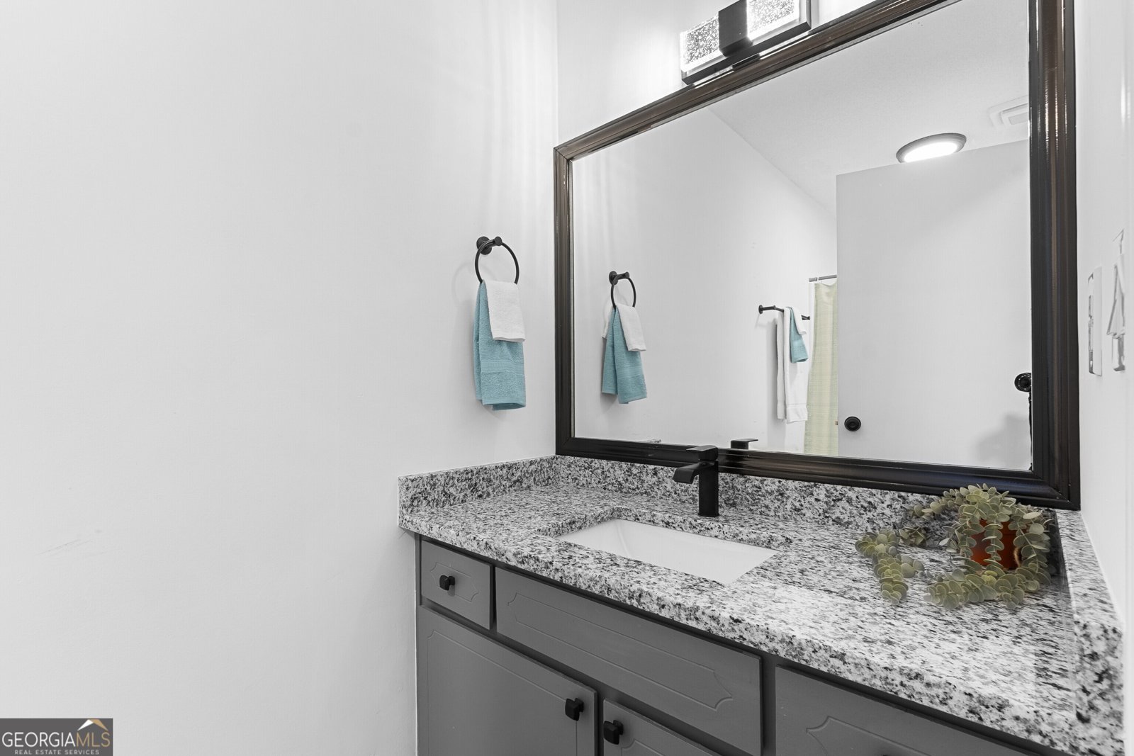 589 Bristle Cone Drive Macon - Photo 28