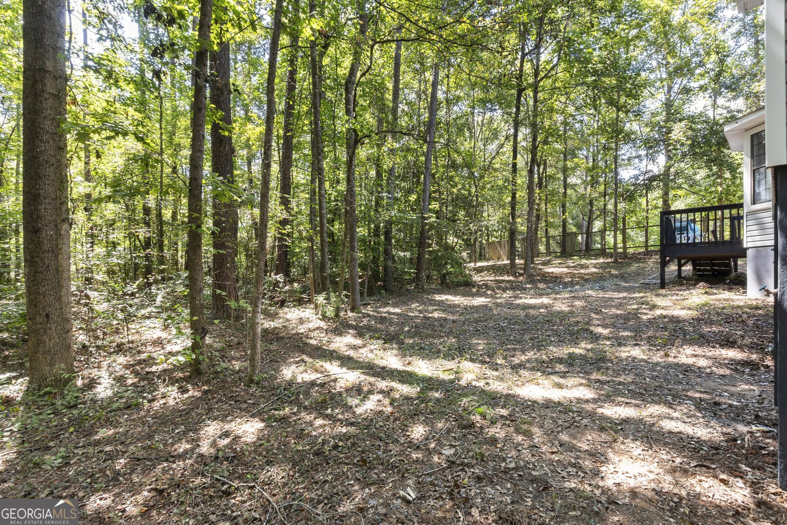 589 Bristle Cone Drive Macon - Photo 47