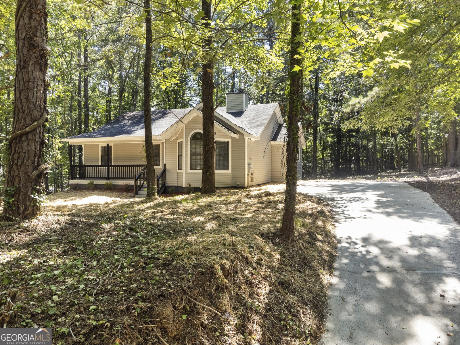589 Bristle Cone Drive Macon - Photo 49