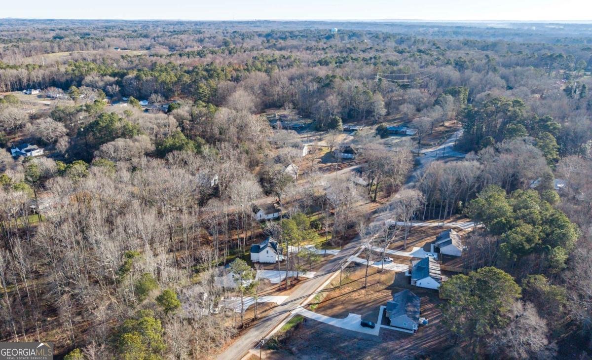 485 West Avenue Bowdon - Photo 43